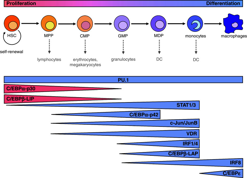 Fig. 3