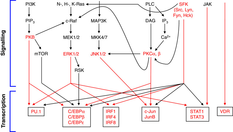 Fig. 2