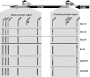 FIG. 10.