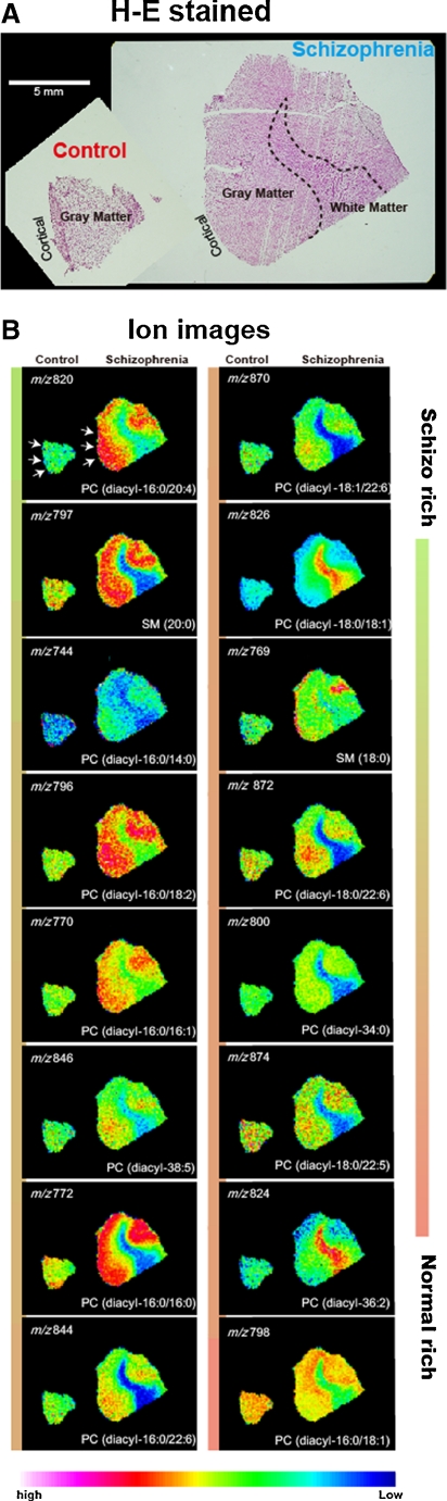 Fig. 3