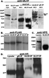 FIG 6