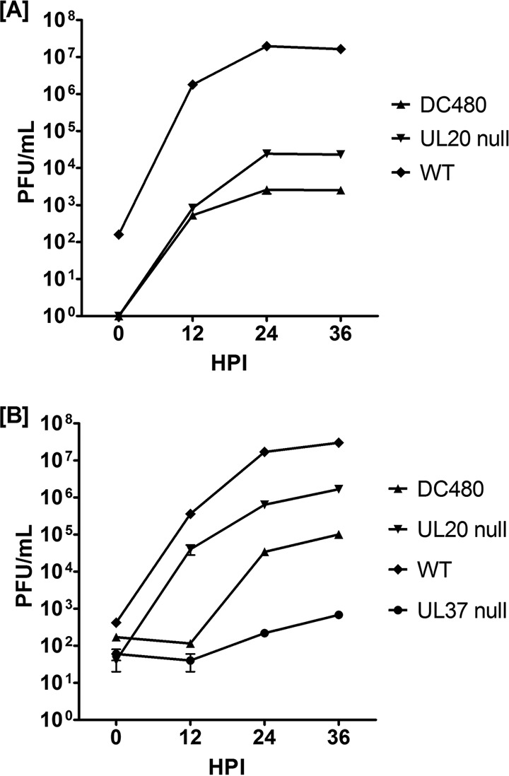 FIG 3