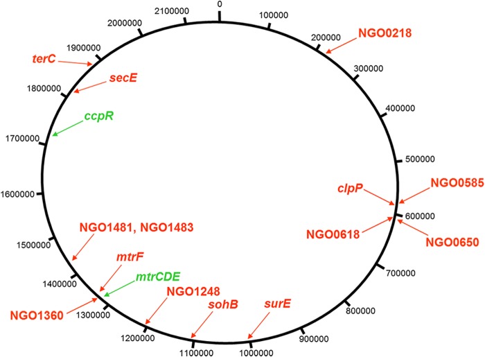 FIG 1