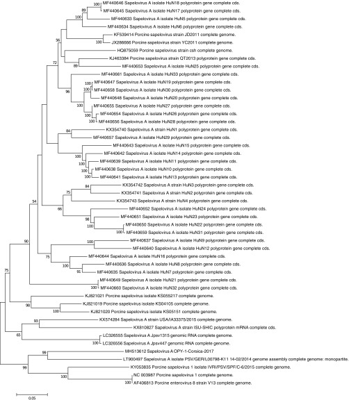 FIG 1