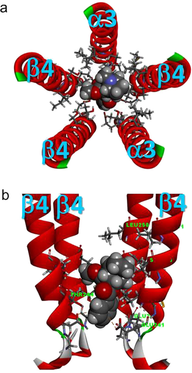 Fig. 9