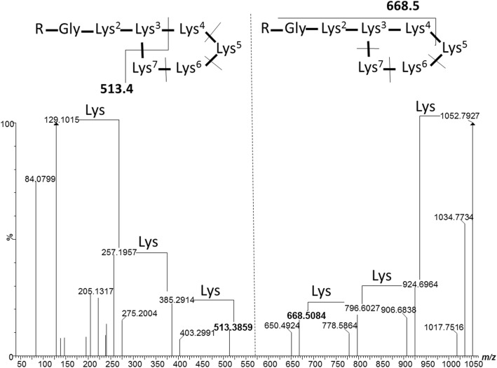 Fig. 6