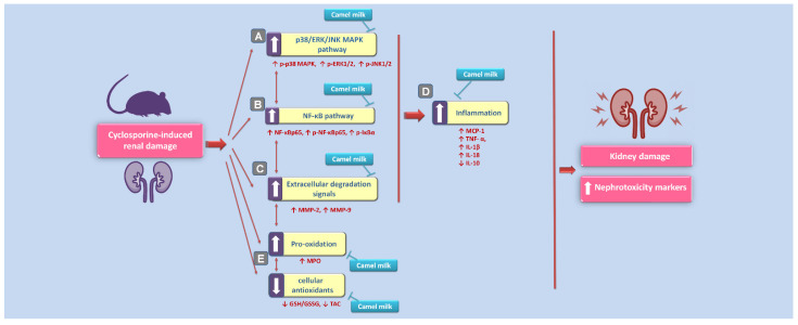 Figure 9