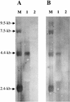 FIG. 4