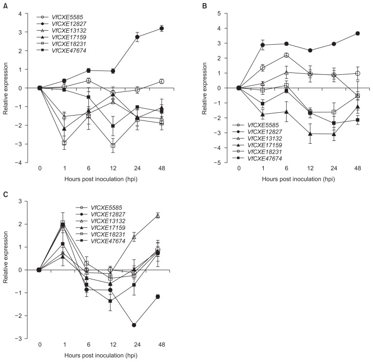 Fig. 4