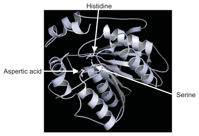 Fig. 2