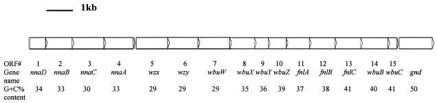 FIG. 3.