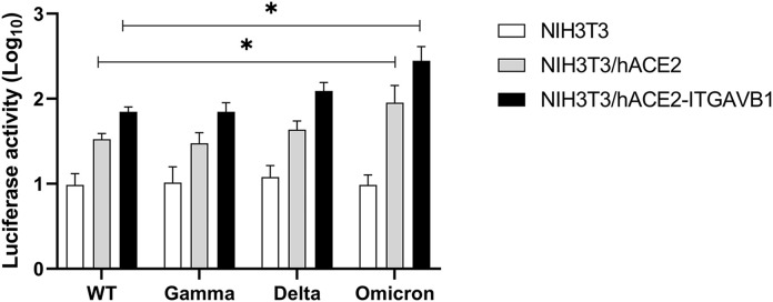 Fig 5