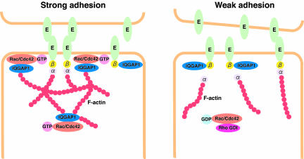 Figure 9.