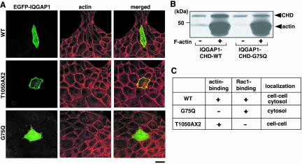 Figure 5.