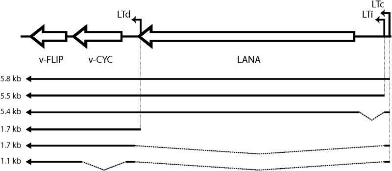 FIG 1