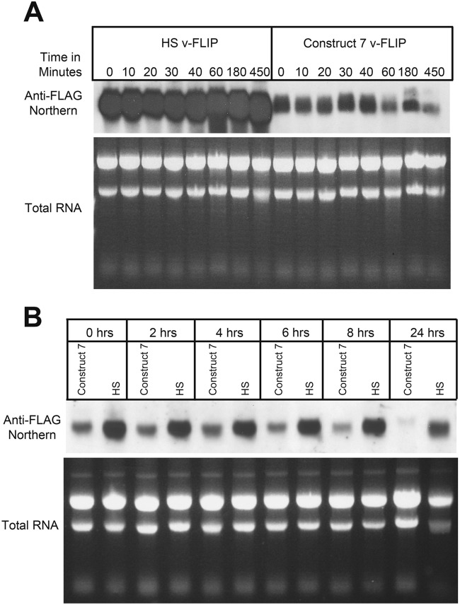 FIG 7