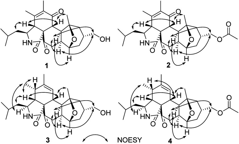 Fig. 3