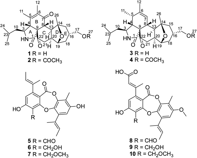 Fig. 1