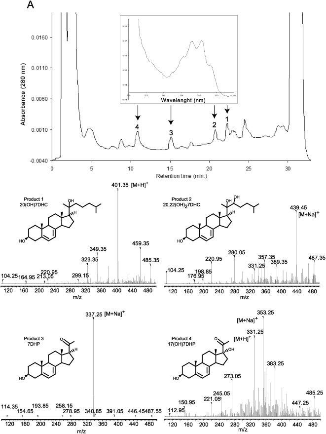 Figure 4