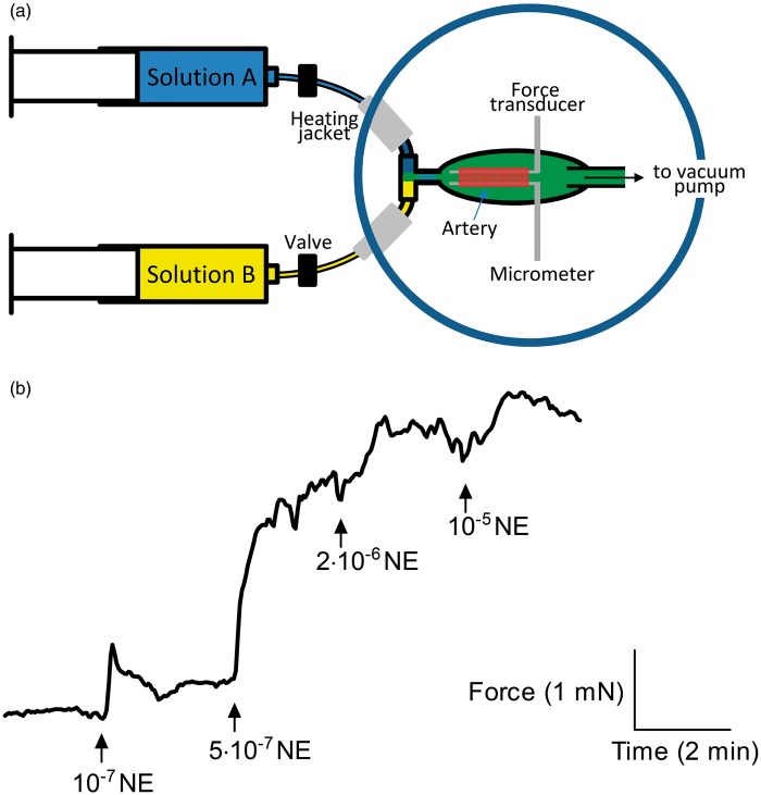 Figure 1.