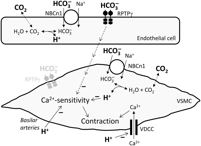 Figure 7.