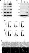 FIG. 7.