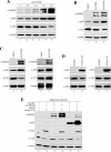 FIG. 8.