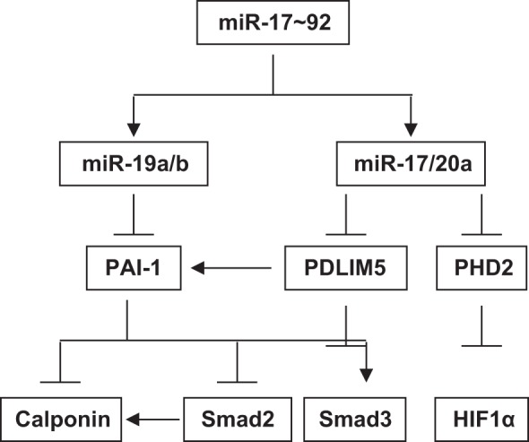 Fig. 8.