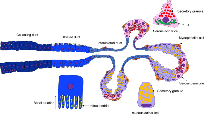 Fig. 2