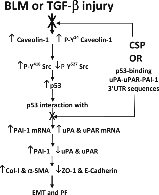 Figure 7