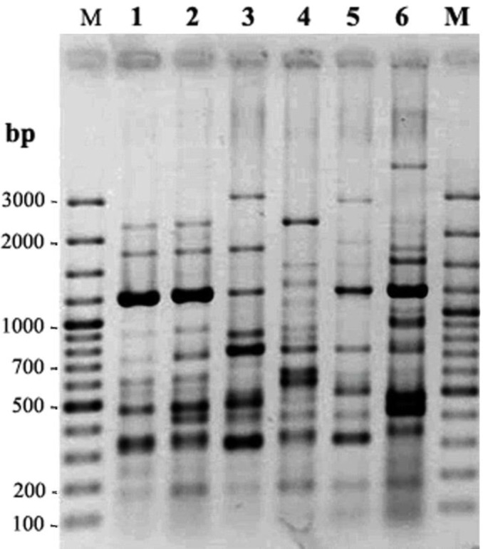 Fig. 1: