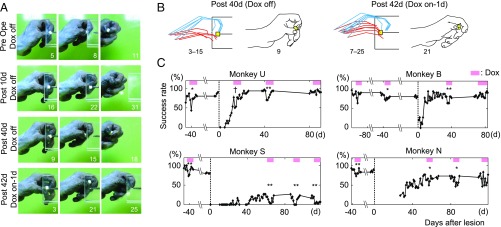 Fig. 3.