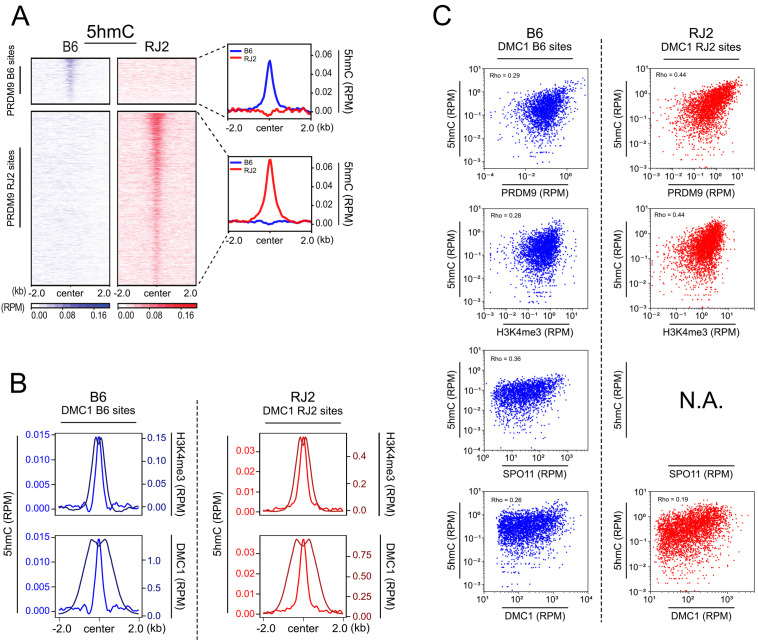 Figure 4—figure supplement 1.