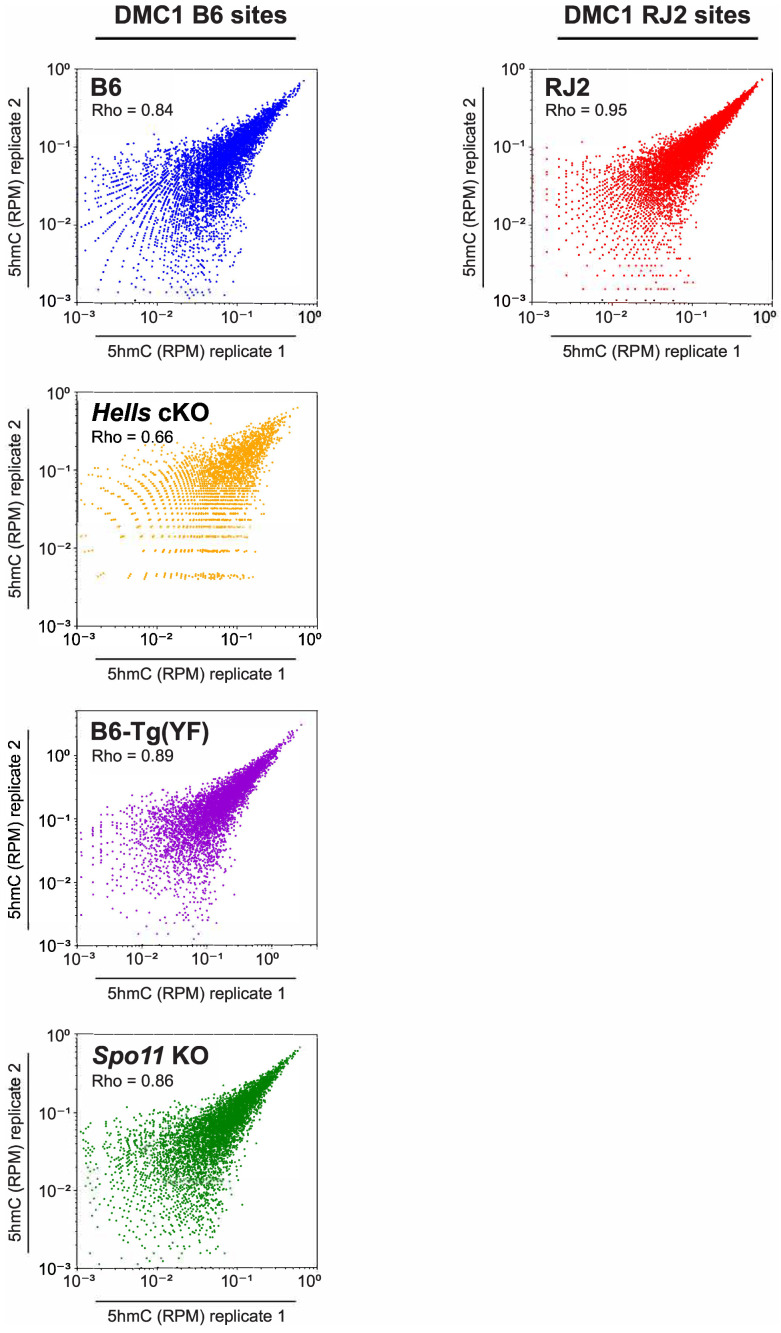 Figure 4—figure supplement 2.