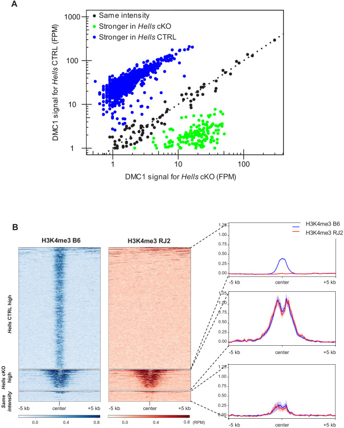 Figure 3—figure supplement 2.