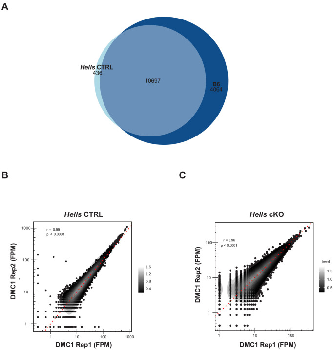 Figure 3—figure supplement 1.