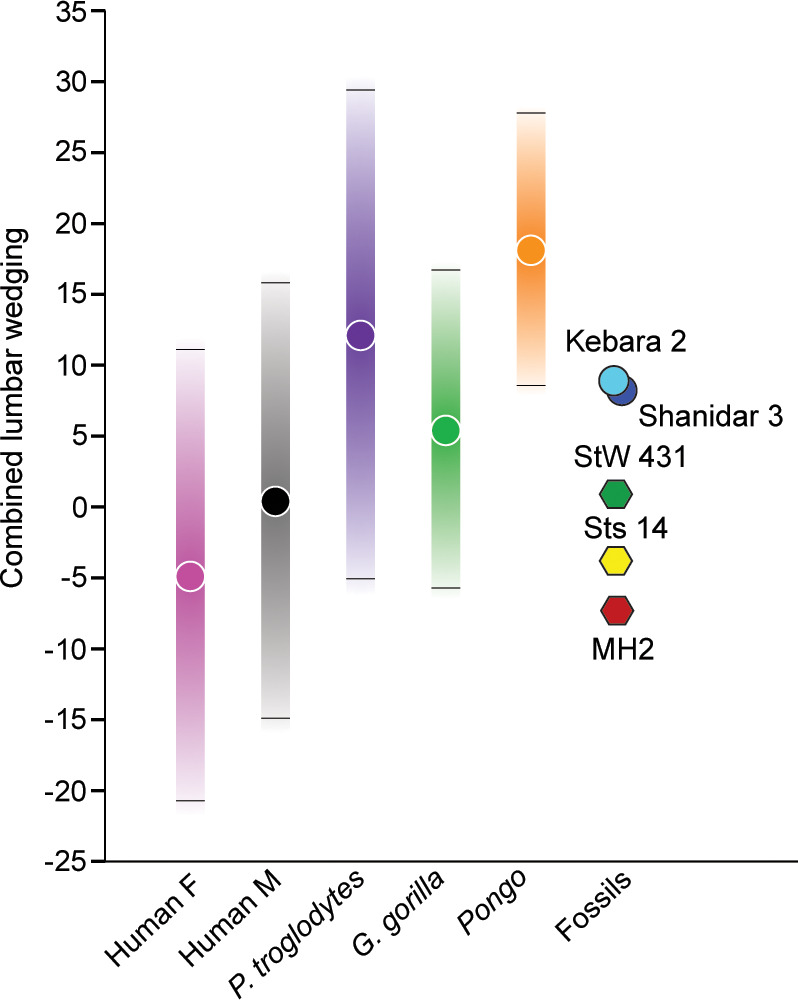 Figure 5.