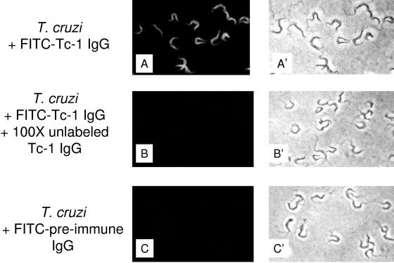 FIG. 5.