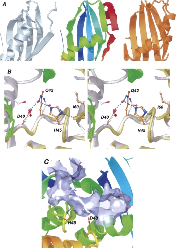 Figure 2.