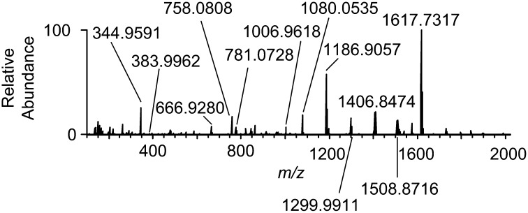 Fig. 3.