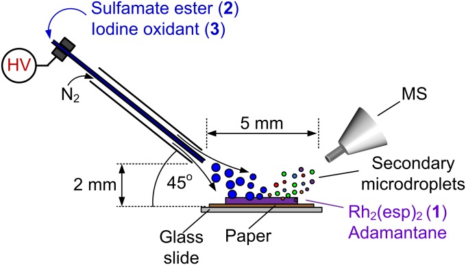 Fig. 2.