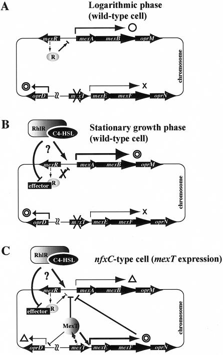 FIG. 8.