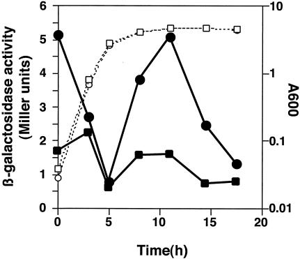 FIG. 2.