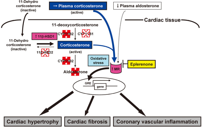 Fig. 3