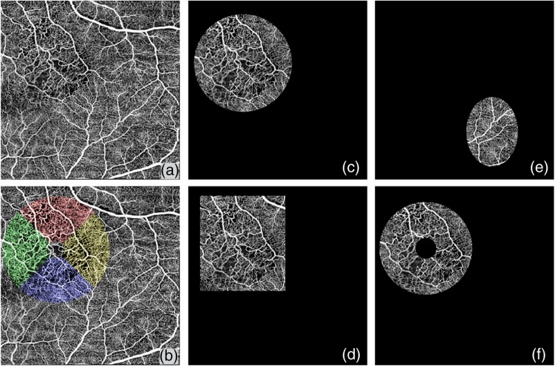 Fig. 8