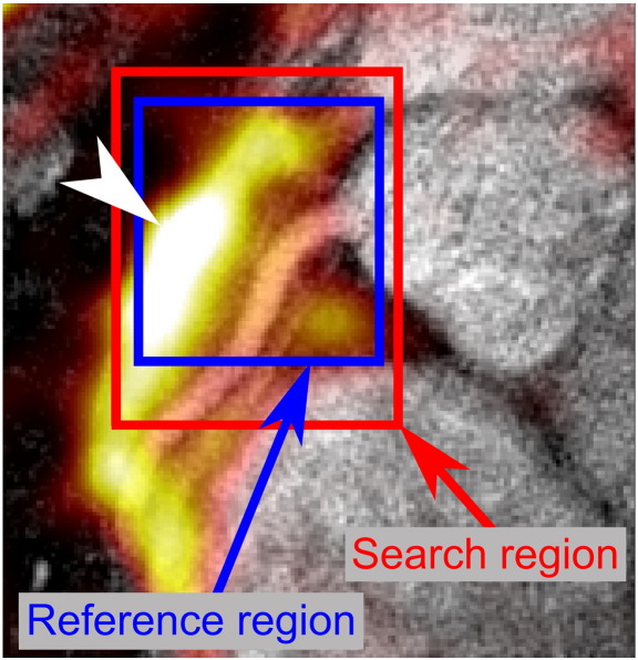 Fig. 3