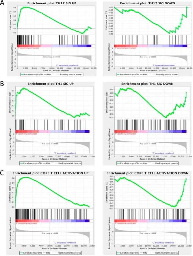 FIGURE 11.