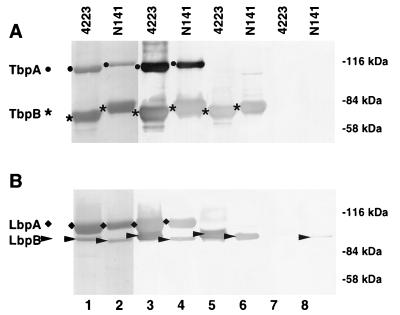 FIG. 1