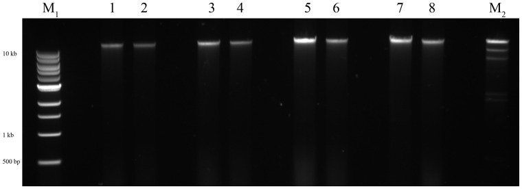 Figure 3: