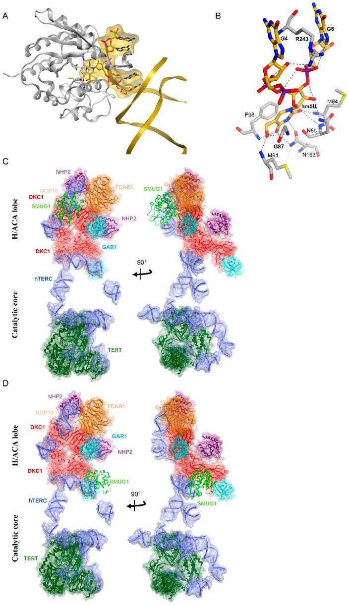 Figure 6